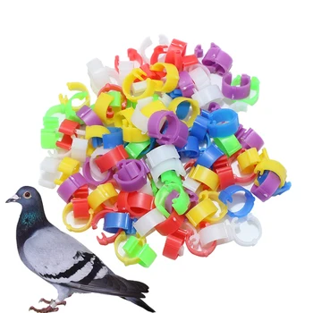 100 Pcs Identificação Corrida de Pássaros de Plástico Abertura Pombo Anel do Pé 8mm Pombos, Codornizes Papagaio de Alimentação Logotipo de transporte Ferramentas